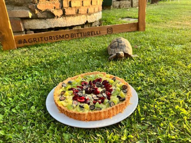Agriturismo Bitturelli Понти Сул Минчо Екстериор снимка